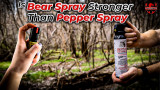 Is Bear Spray Stronger Than Pepper Spray?