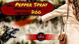 Will Pepper Spray Effectively Stop an Aggressive Dog?