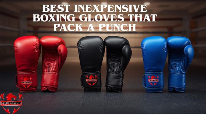 Best Inexpensive Boxing Gloves That Pack a Punch