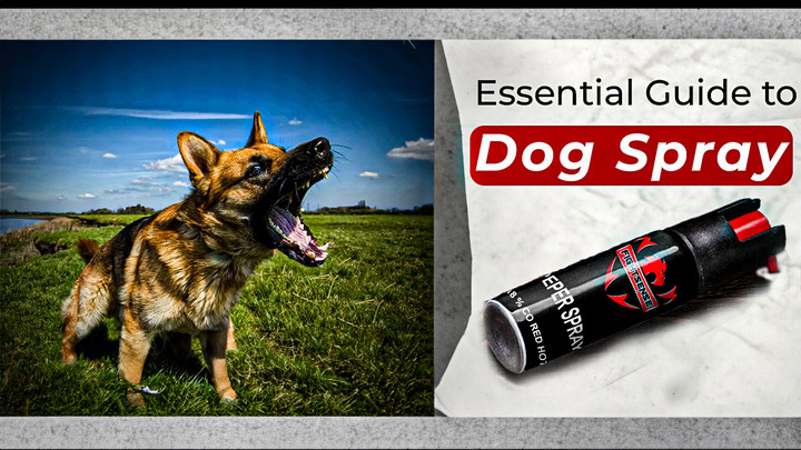 Essential Guide to Dog Spray: What It Is and How to Use It for Safety