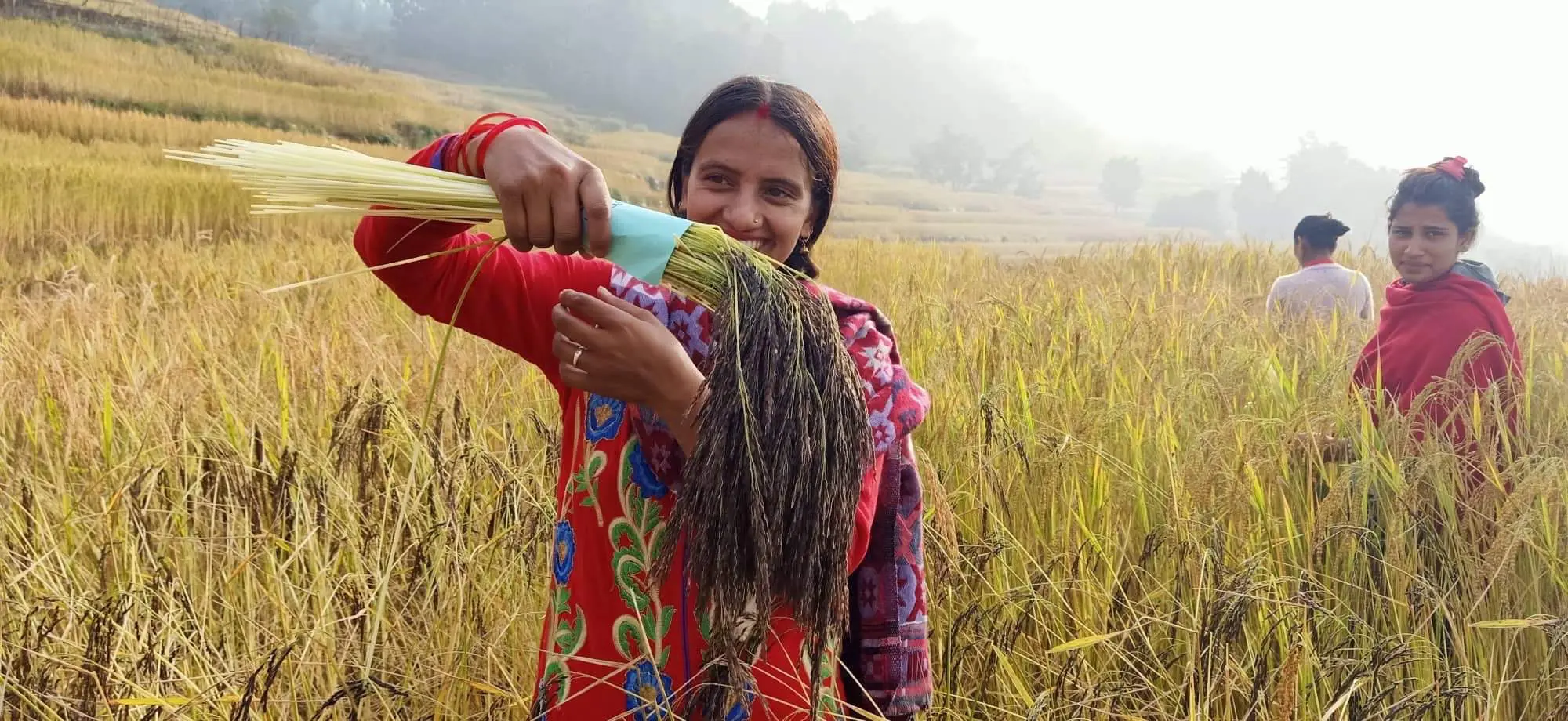 A young girl holds up a bundle of wheat