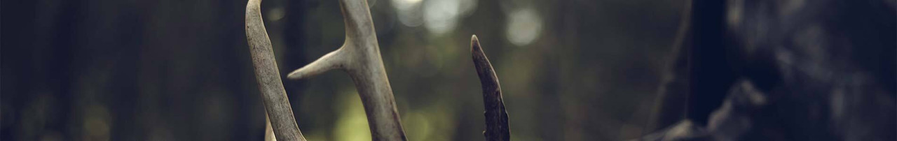 Kids - Briarproof Clothing