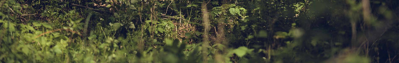 Briarproof Accessories