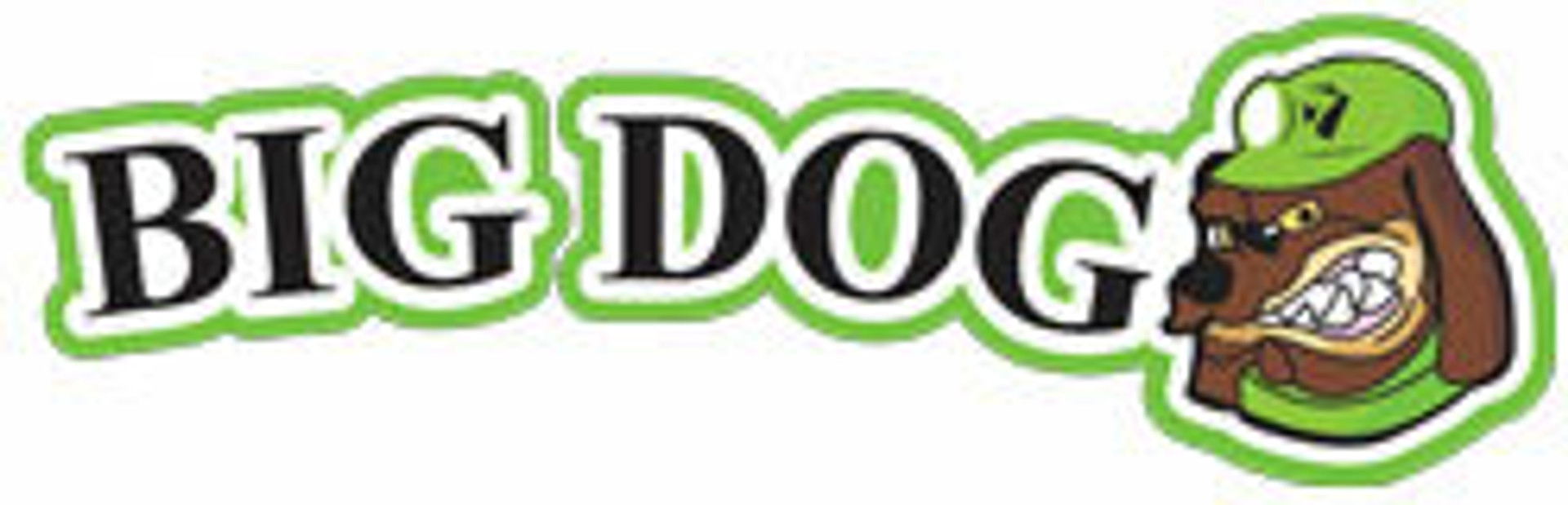 Big Dog Lights Logo