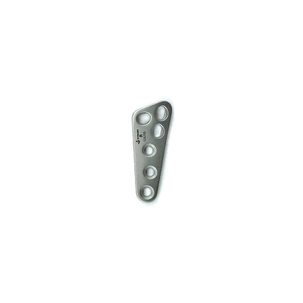 Product Everost Delta TPLO Plate Broad, Ss | SAH.EV001901 Image
