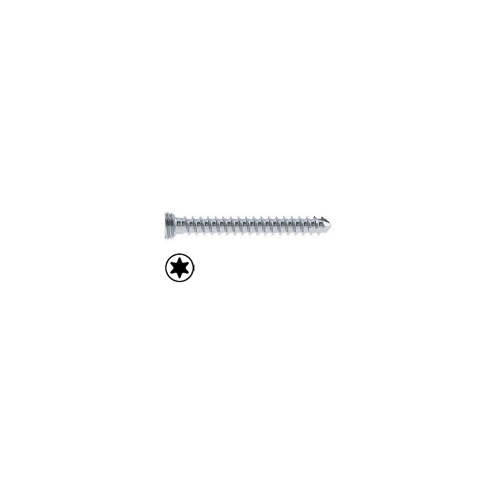 Product Everost 1.5mm Locking Screw T4, Ss | SAH.EV121512 Image