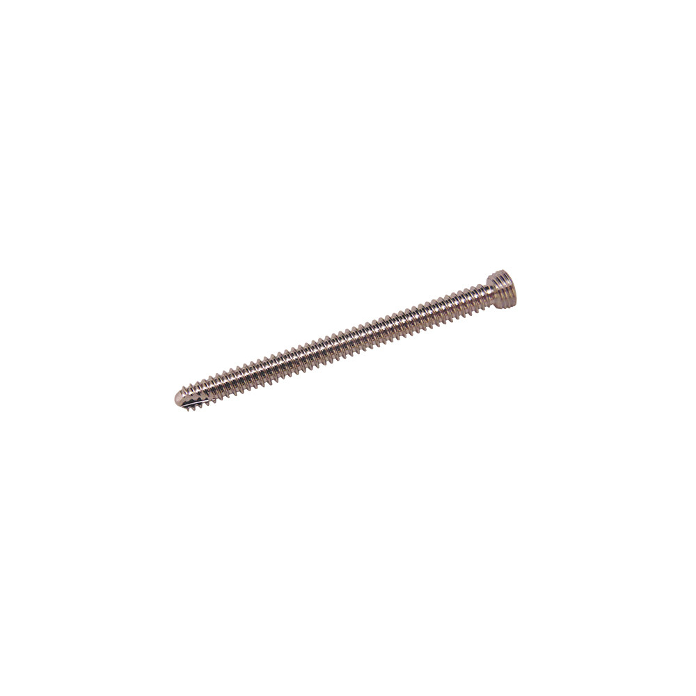 Product Everost 2.4mm Locking Screw T8, Ss | SAH.EV122430 Image