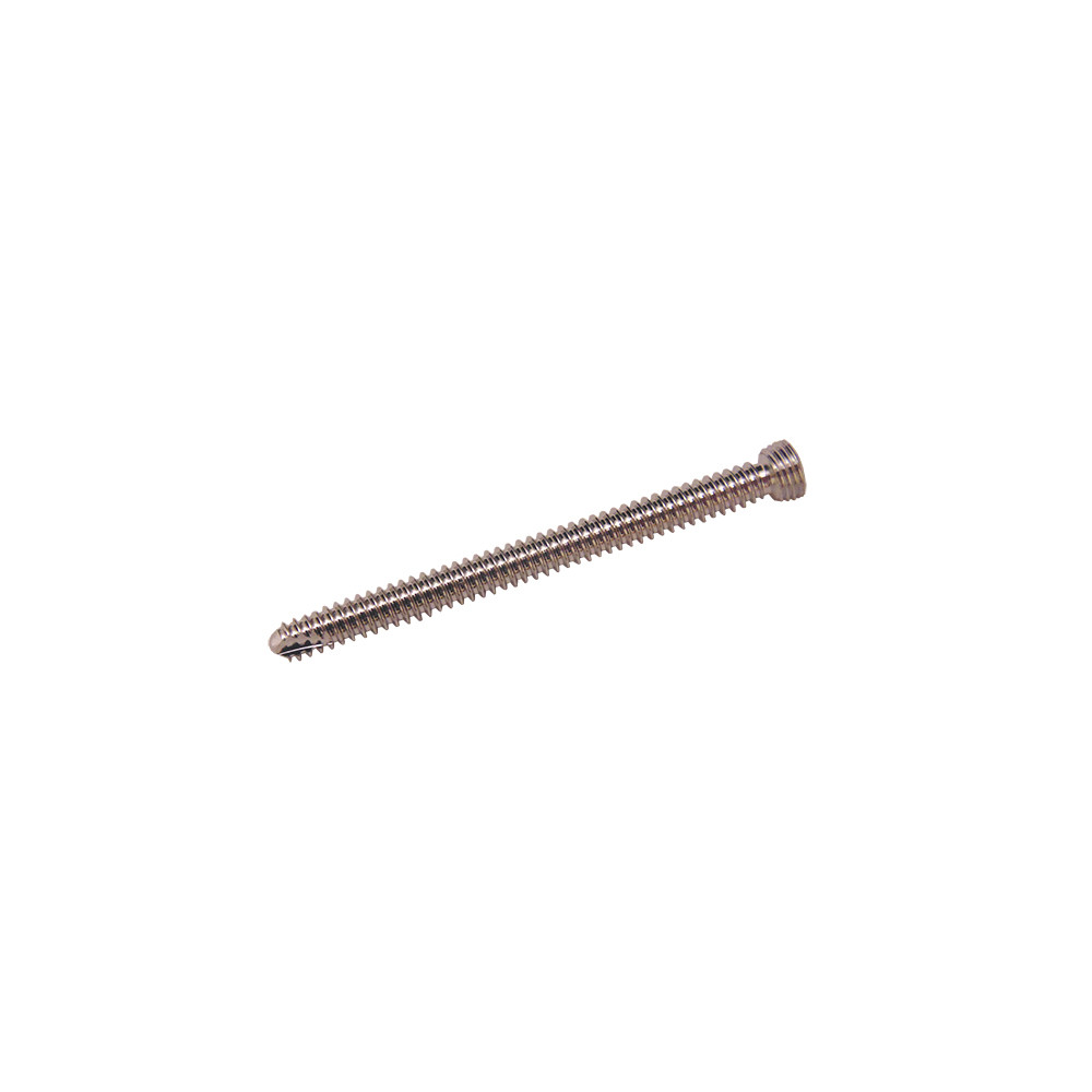 Product Everost 2.7mm Locking Screw T8, Ss | SAH.EV122718 Image