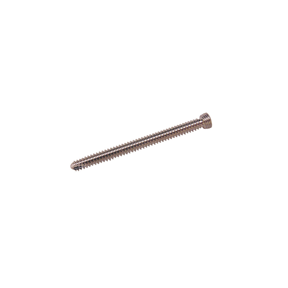 Product Everost 2.7mm Locking Screw T8, Ss | SAH.EV122726 Image