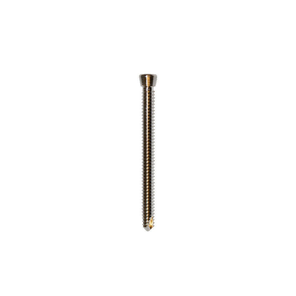 Product Everost 3.5mm Locking Screw T15, Ss | SAH.EV123540 Image