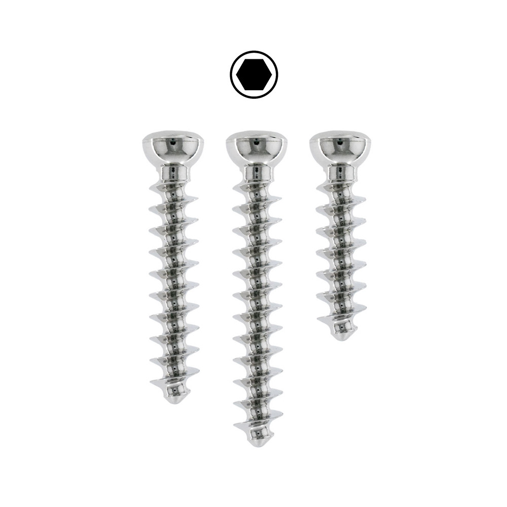 Product VOI 4.0mm Cancellous, Hex, Reg, SS | 400.36CT Image