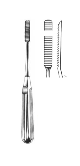Product Vet Spectrum Cottle Rasp, 8.25" (21cm), Straight, Downwards Cutting, 7mm | SAH.747515 Image