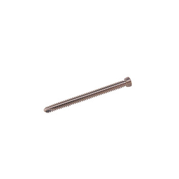 Product Everost 3.5mm Locking Screw T15, Ss | SAH.EV123520 Image