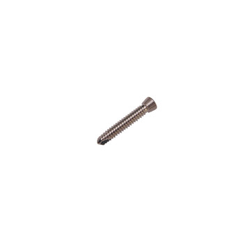Product Everost 3.5mm Locking Screw T15, Ss | SAH.EV123522 Image