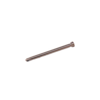 Product Everost 3.5mm Locking Screw T15, Ss | SAH.EV123526 Image