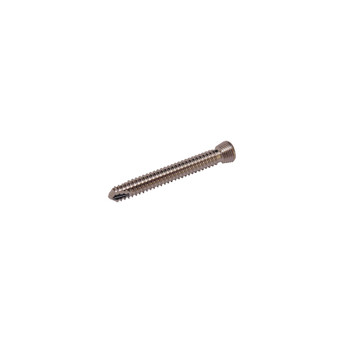 Product Everost 3.5mm Locking Screw T15, Ss | SAH.EV123528 Image