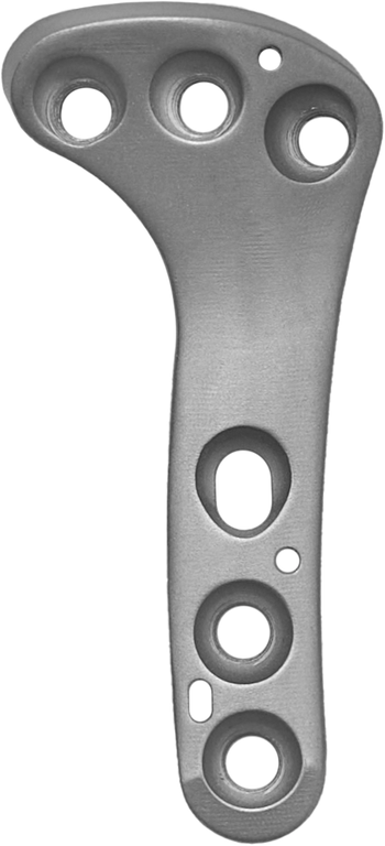 Product VOI EnCORA CBLO Plate, DT Locking | CBLO20L Image