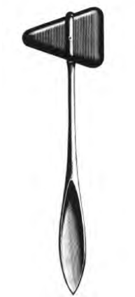 Product Spectrum Taylor Percussion Hammer, 8" (20cm), Solid Handle | SAH.22-4692 Image