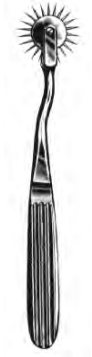 Product Spectrum Wartenberg Pin Wheel, 7"(18cm) | SAH.23-4662 Image