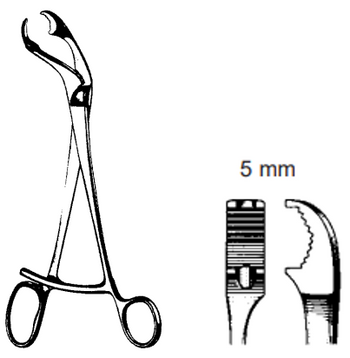 Product Spectrum Verbrugge Bone Holding Forcep, 7" (17.5cm), With Ratchet | SAH.33395-17 Image