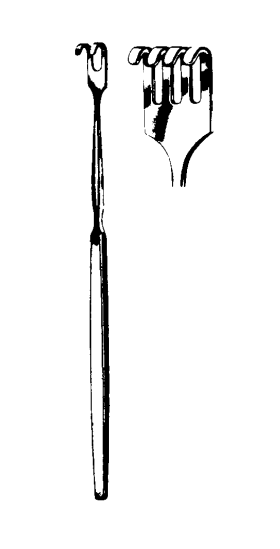 Product Spectrum Skin and Nerve Retractor (Hook), 6.25" (16cm), Blunt, 4 Prong | SAH.35-4043 Image