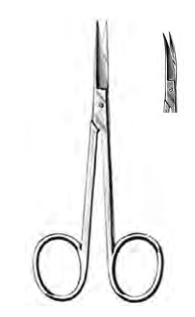 Product Spectrum Iris Scissor, 4" (10cm), Curved | SAH.50-2300 Image