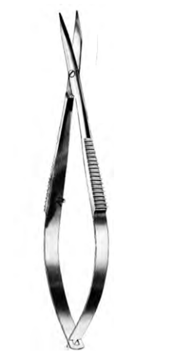 Product Spectrum Westcott Scissor, 4.375" (11cm), Curved, Blunt | SAH.50-2358 Image