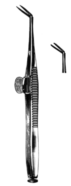 Product Spectrum Wecker Scissor, 4.375" (11cm), Angled, Blunt/Blunt | SAH.50-2363 Image