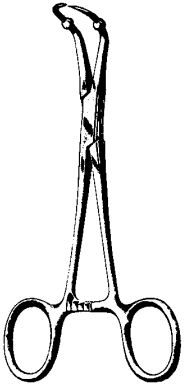 Product Spectrum Backhaus (Roeder) Towel Forcep, 5" (13cm), W/ Ball Stops | SAH.60-2234 Image