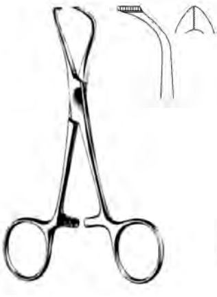 Product Spectrum Lorna (Edna) Towel Forcep, 5.25", Non-Perforating | SAH.60-2301 Image