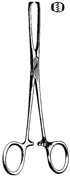 Product Spectrum Allis Tissue Forcep, 6", 3x4 Teeth | SAH.60-2651 Image