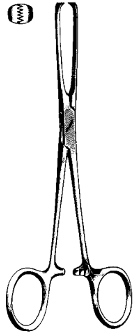 Product Spectrum Allis Tissue Forcep, 6" (15cm), 4x5 Teeth, Left-Handed | SAH.60-3851LH Image