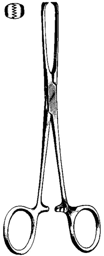 Product Spectrum Allis Tissue Forcep, 8.75" (22cm), 5x6 Teeth | SAH.60-3871 Image