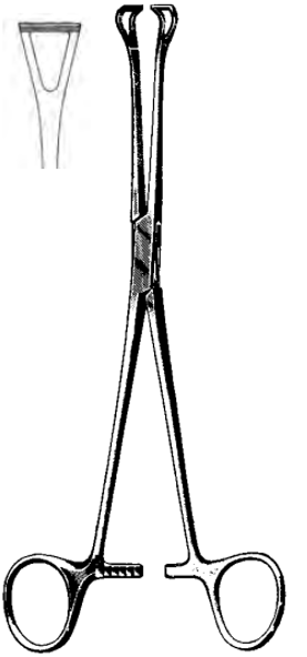 Product Spectrum Babcock Tissue Forcep, 5.5" (14cm), 6mm Jaw Width, Delicate | SAH.60-3940 Image