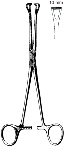 Product Spectrum Babcock Tissue Forcep, 6.25" (16cm), Atraumatic Jaws, 10mm Jaw Width | SAH.60-3943 Image