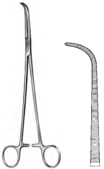Product Spectrum Gemini Forcep, 11", Full Curve | SAH.60-4526 Image