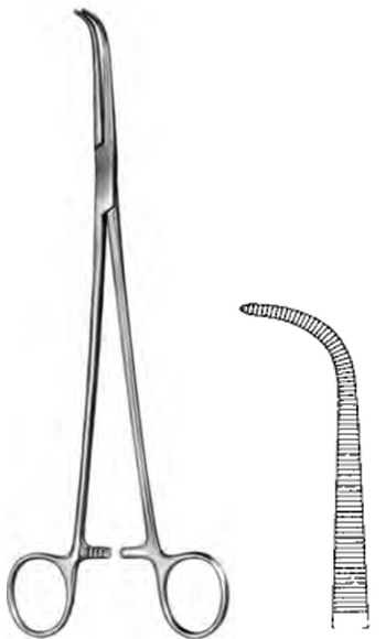Product Spectrum Gemini Forcep, 8", Full Curve | SAH.60-4622 Image