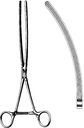 Product Spectrum Mayo-Robson Intestinal Clamp Forcep, 10" (25cm), Curved, Atraumatic Jaws | SAH.60-6006 Image