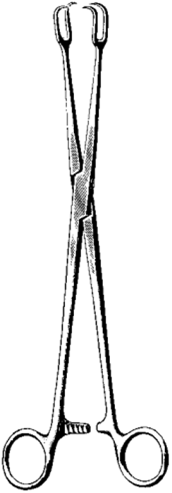 Product Spectrum Schroeder Tenaculum Vulsellum Forcep, 9.5in., 2x2 Prong Teeth, Straight | SAH.700010 Image