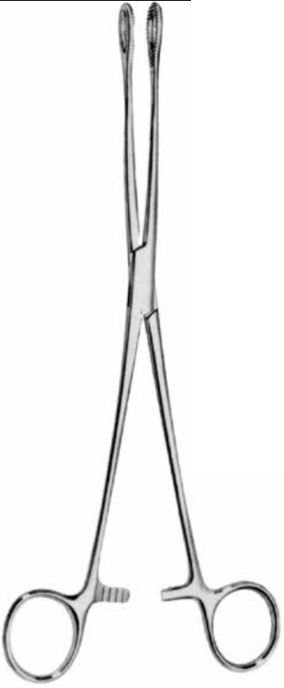 Product Vet Spectrum Foerster Forcep, 7" (18cm), Straight, Smooth | SAH.700053 Image