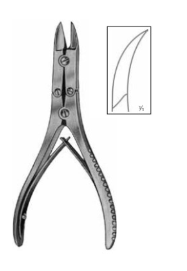 Product Vet Spectrum Bohler Bone Cutting Forcep, 6" (15cm), Curved Forward, Double Action, Sharp | SAH.701689 Image