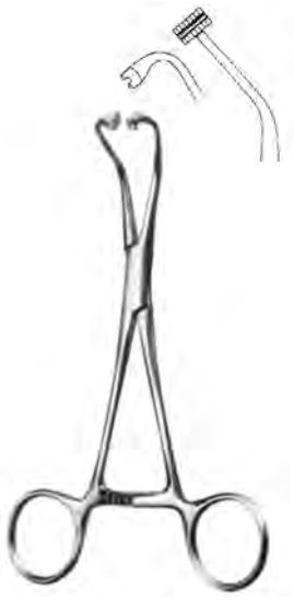 Product Vet Spectrum Peers Towel Forcep, 5.75" (14.5cm) | SAH.710512 Image