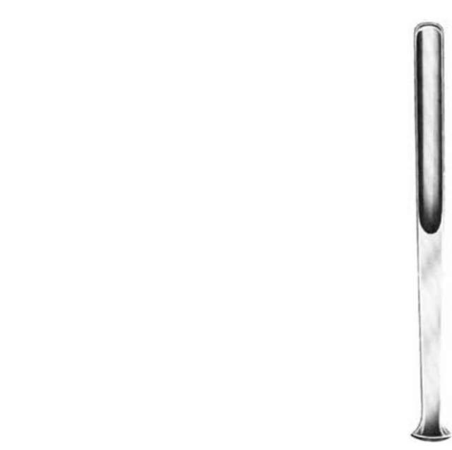 Product Vet Spectrum Alexander Gouge, 7" (18cm), Straight, 10mm | SAH.733788 Image