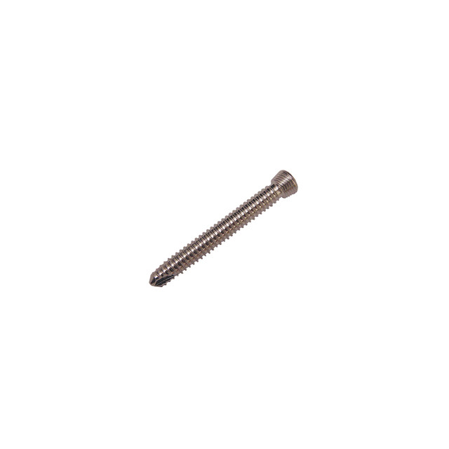 Product Everost 3.5mm Locking Screw T15, Ss | SAH.EV123530 Image