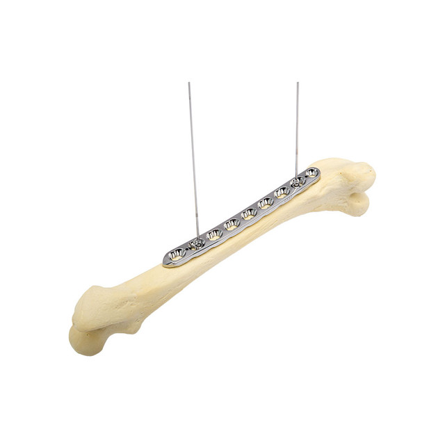 Product VOI T4-T15 Locking Plugs Cannulated | SLH 2.7045 PLUG Image