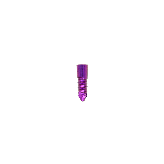 Product KYON THR 2.0mm Mini Stem Screw | 01.46.07 Image