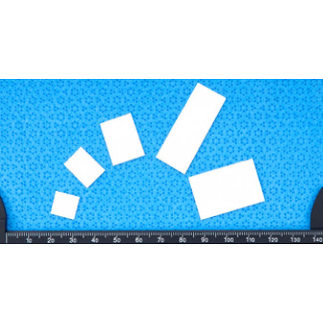 Product VTS Ossiflex Bone Membrane, Equine, Freeze Dried | EBOXFD3 Image