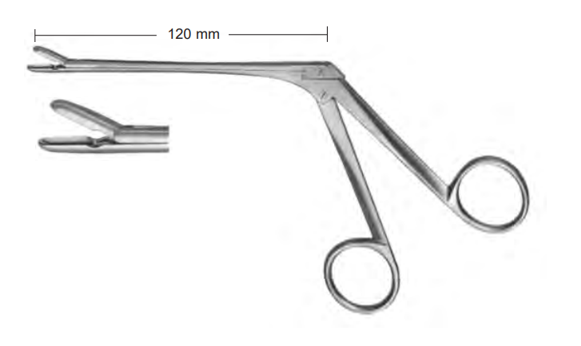 Product Spectrum Takahashi Rongeur, 4.75" (12cm), Straight, 4mm Jaw | SAH.20-5633 Image