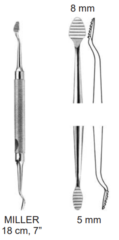 Product Spectrum Miller Nasal Rasp, 7" (18cm), Double Ended, Up/Down Serrations, 8mm/5mm | SAH.20-7521 Image