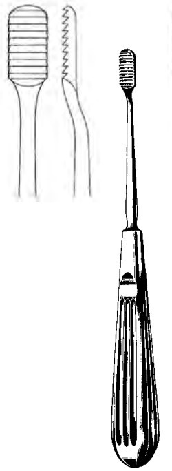 Product Spectrum Joseph (Lewis) Nasal Rasp, 7" (18 cm), Straight, Fine Horizontal Serrations | SAH.20-8514 Image